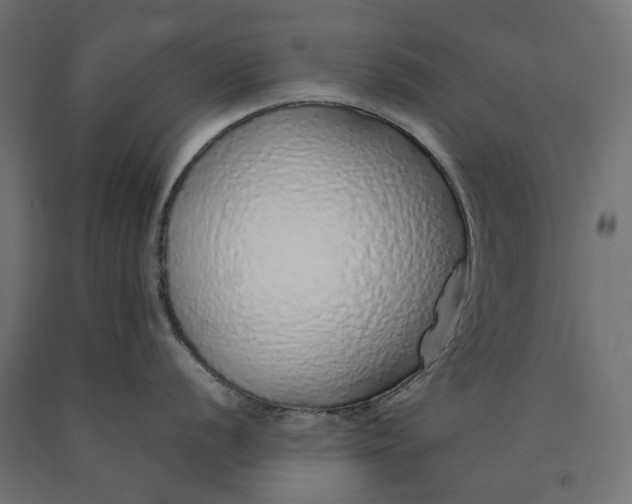 X0000090451056200708031213