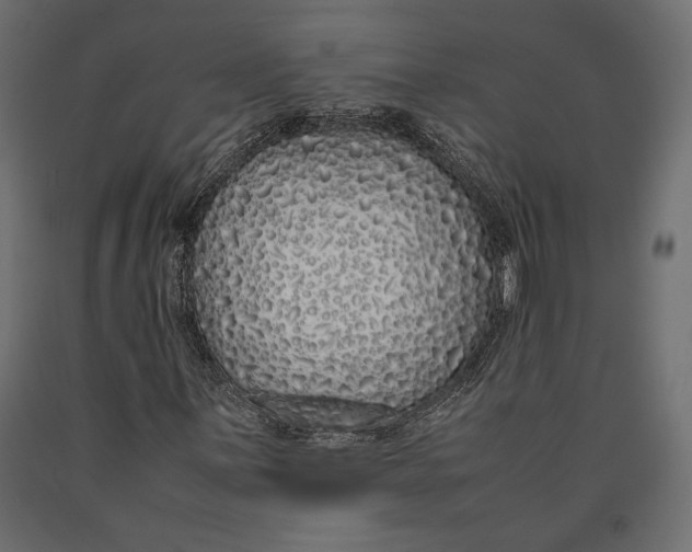 X0000090451059200708031212