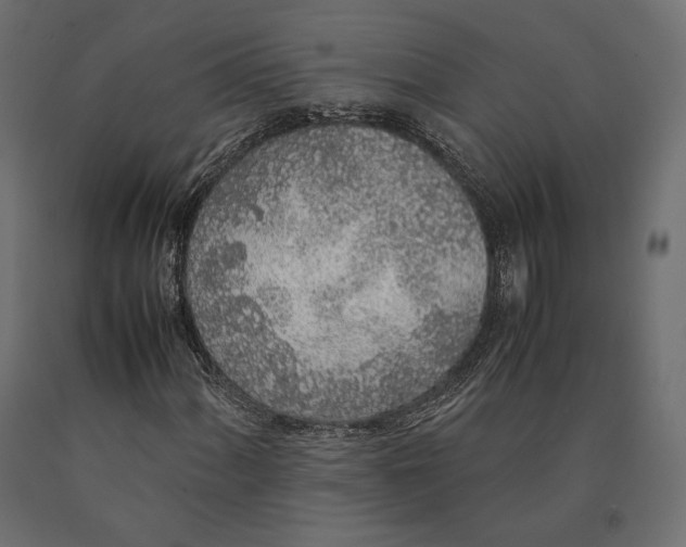 X0000090451060200708031212