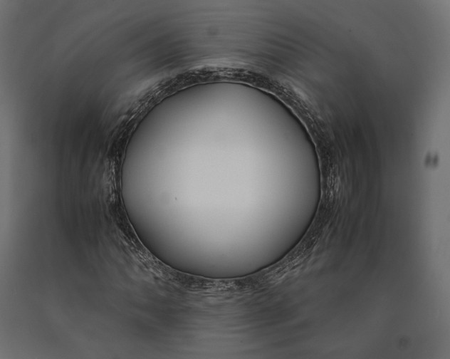 X0000090451062200708031212