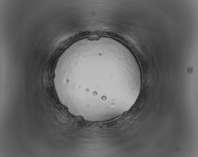 X0000090451063200708031212