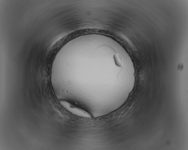 X0000090451064200708031212