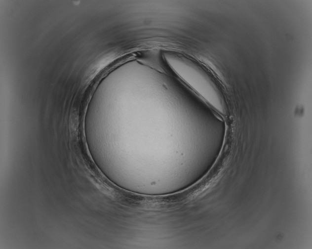 X0000090451065200708031212