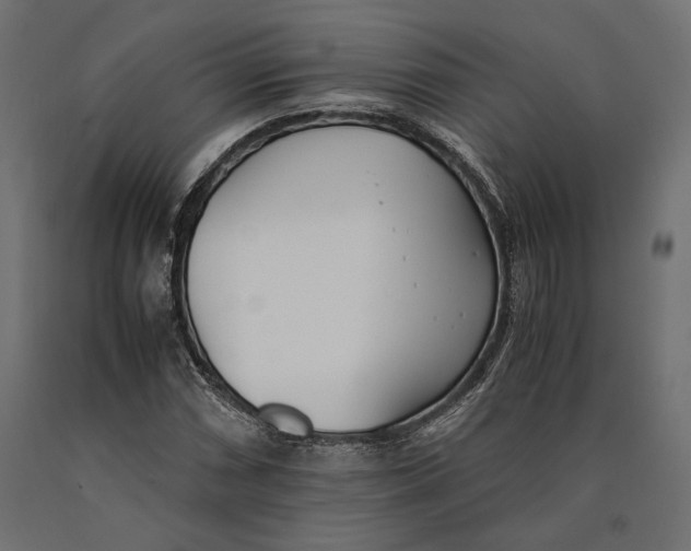 X0000090451066200708031212