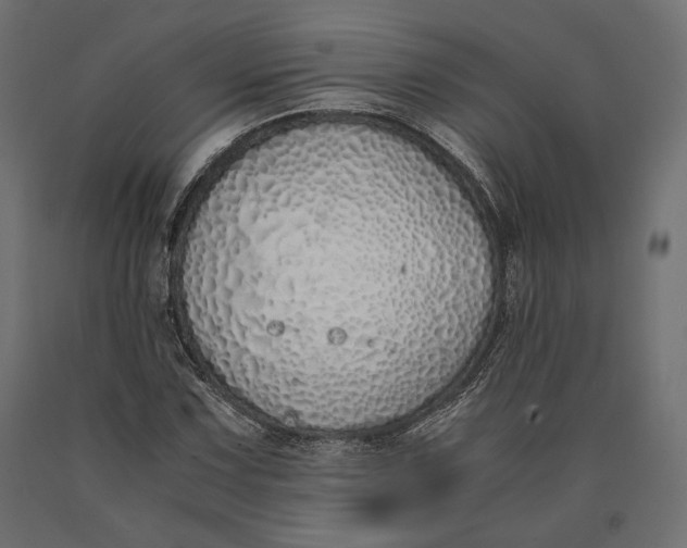 X0000090451067200708031212