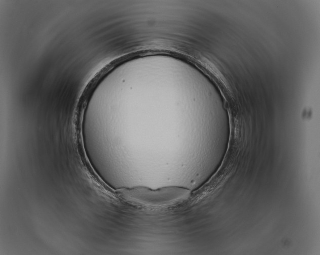 X0000090451068200708031212