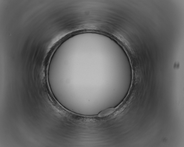 X0000090451070200708031212