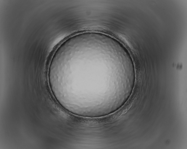 X0000090451071200708031212