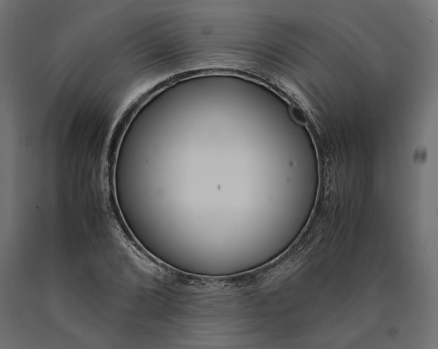 X0000090451072200708031212