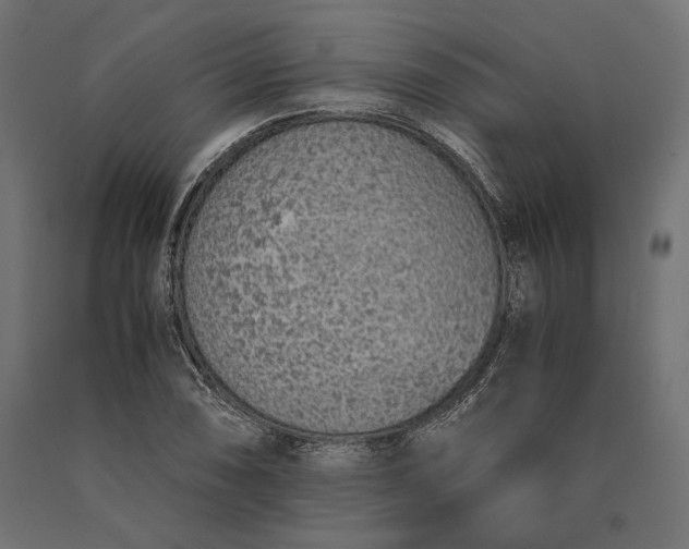 X0000090451074200708031212