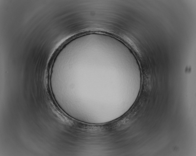 X0000090451076200708031212