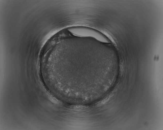 X0000090451077200708031212