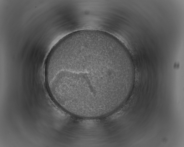 X0000090451078200708031212