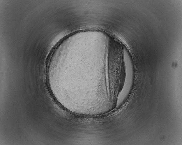 X0000090451079200708031212