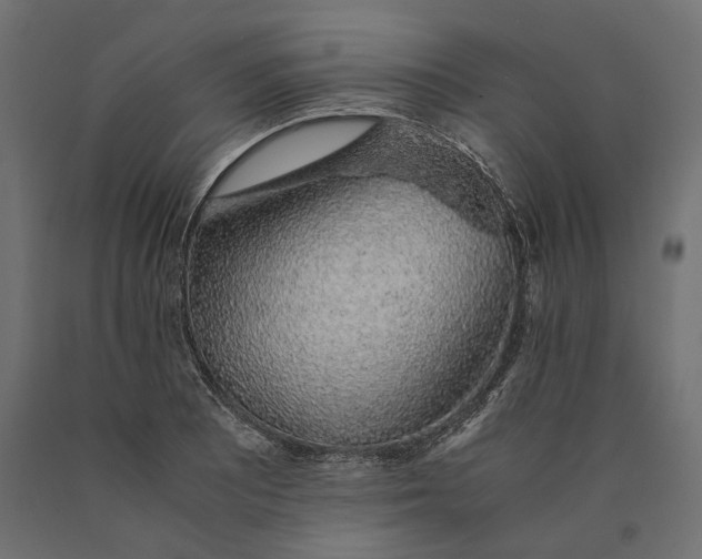 X0000090451081200708031212