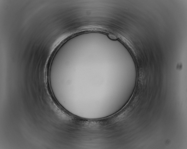 X0000090451082200708031212