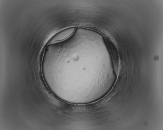 X0000090451083200708031212