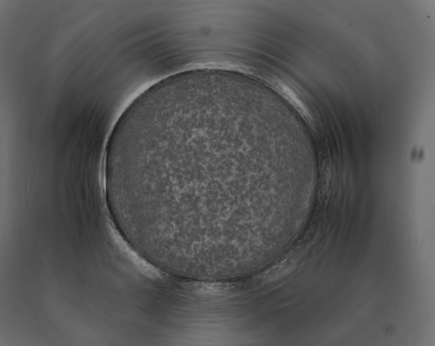 X0000090451084200708031212