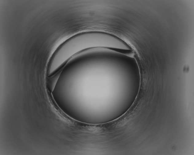 X0000090451085200708031212