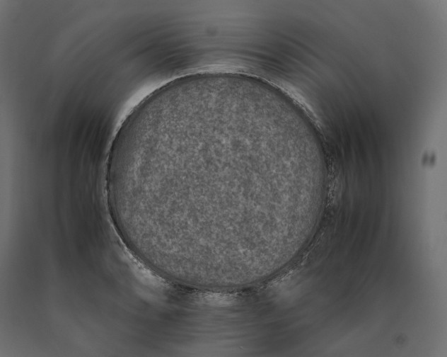 X0000090451086200708031212