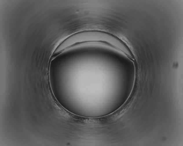 X0000090451089200708031211