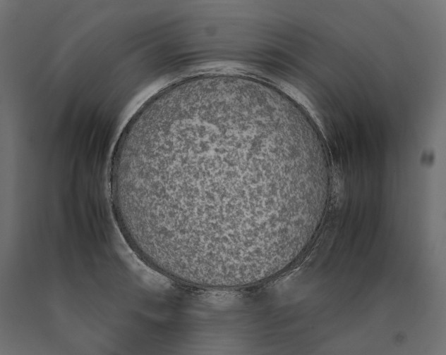 X0000090451090200708031211