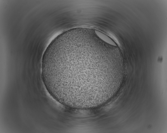 X0000090451095200708031211