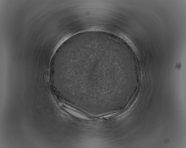 X0000090451097200708031211