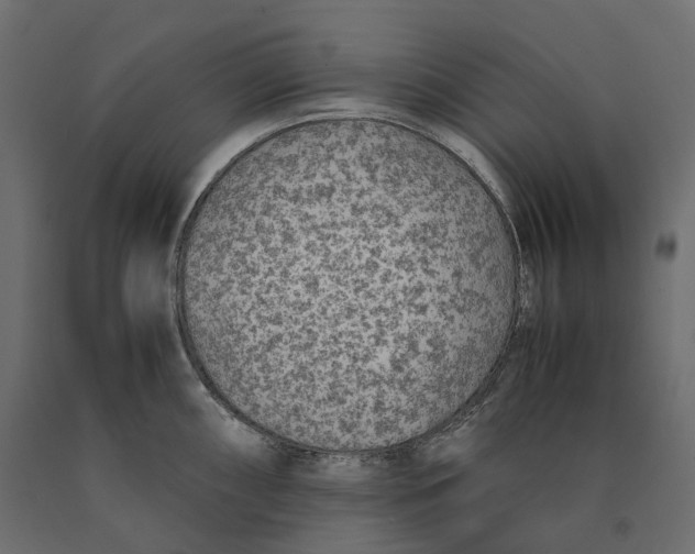 X0000090451098200708031211