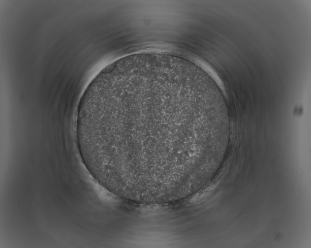 X0000090451099200708031211