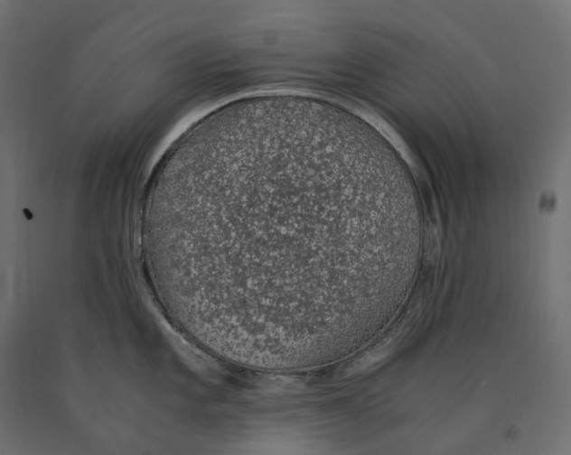 X0000090451101200708031211