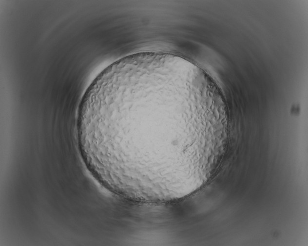 X0000090451103200708031211