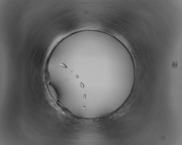 X0000090451104200708031211