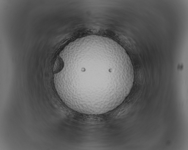 X0000090451105200708031210