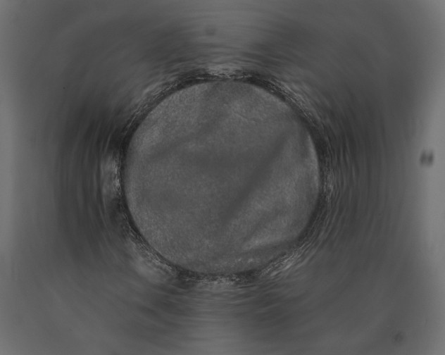 X0000090451106200708031210