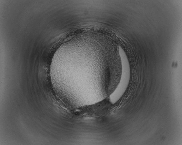 X0000090451108200708031210