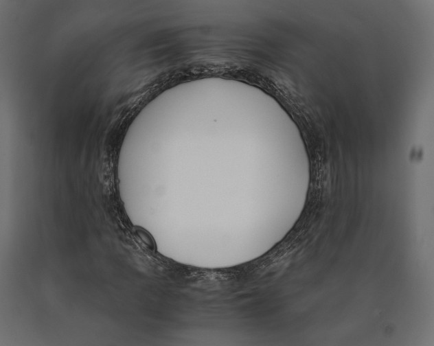 X0000090451109200708031210