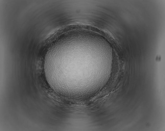 X0000090451110200708031210