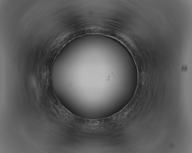 X0000090451111200708031211