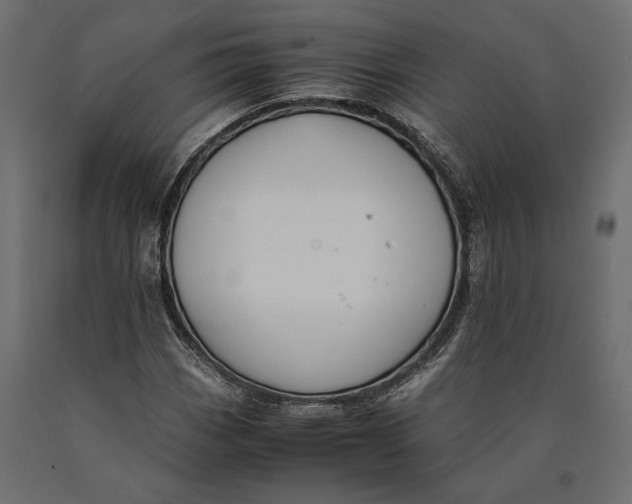 X0000090451113200708031211