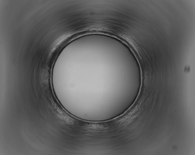 X0000090451115200708031211