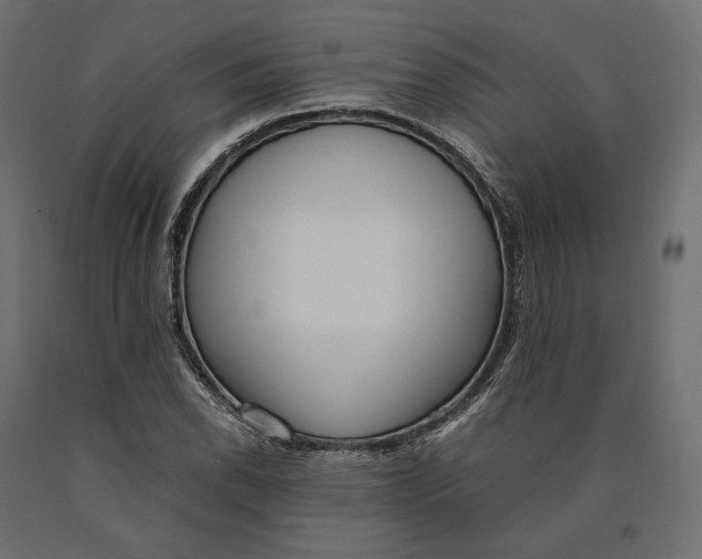 X0000090451118200708031211