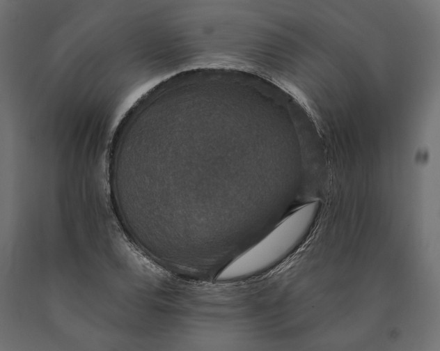 X0000090451120200708031211