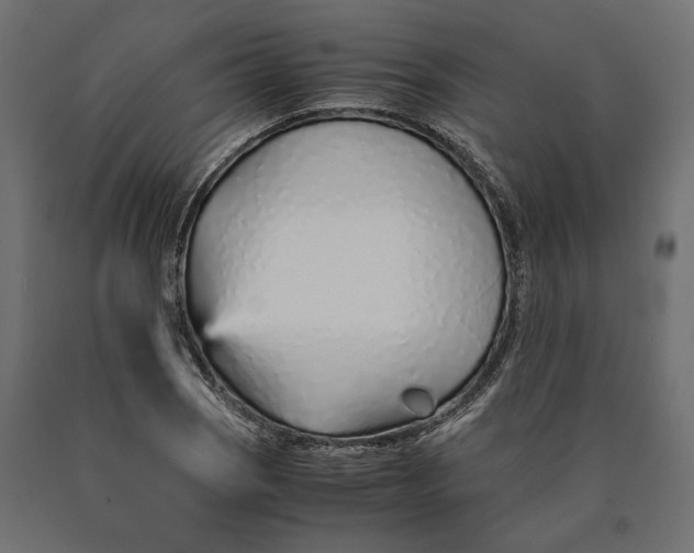 X0000090451121200708031211