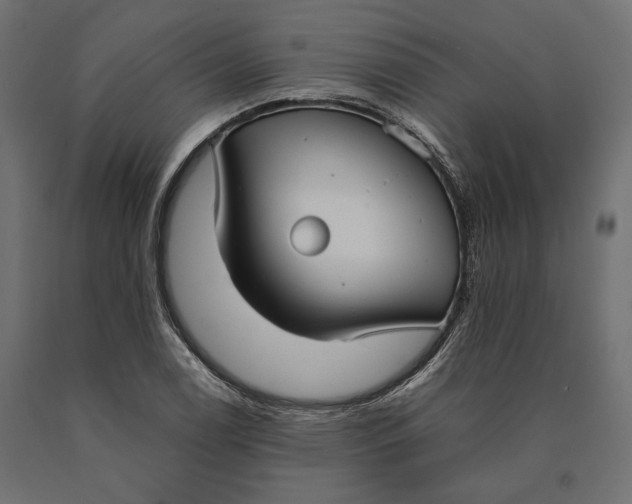 X0000090451122200708031211