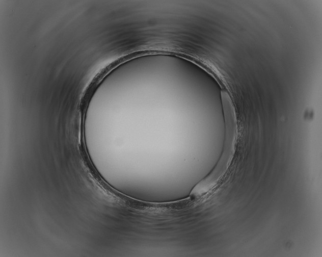 X0000090451123200708031211