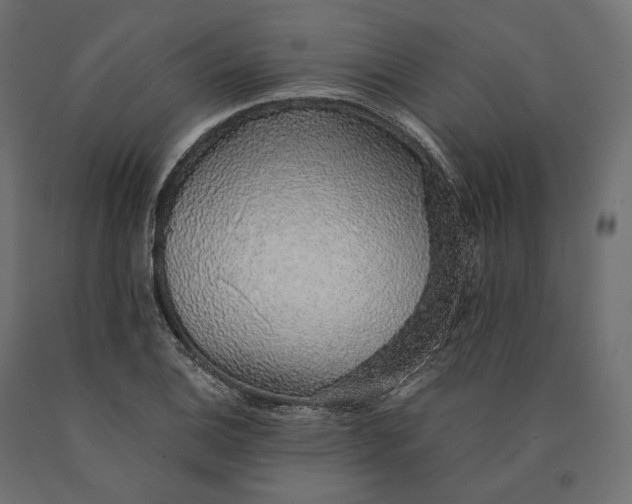 X0000090451124200708031211