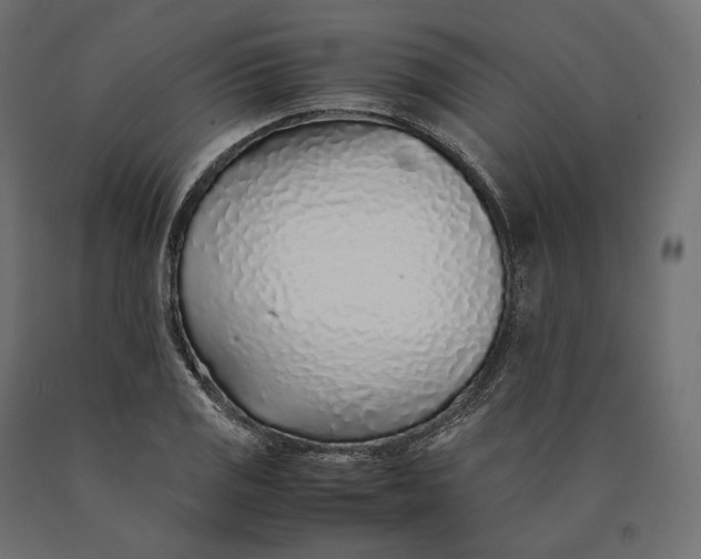 X0000090451125200708031211