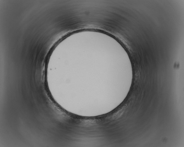 X0000090451126200708031211