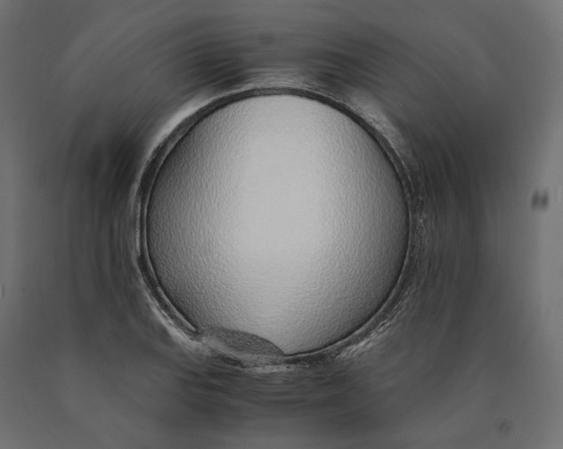 X0000090451127200708031211